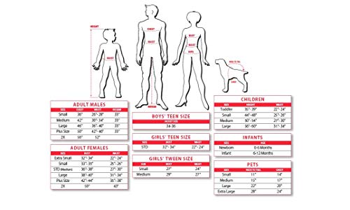 Photo complémentaire