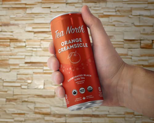 Tea North Keto Carbonated Iced Tea - No Sugar, Sweeteners, Or Calories - Natural Clean Energy Drink - Gluten-Free, Paleo & Diabetic-Friendly - Healthy, Organic & Refreshing Sparkling Beverage - 12 Oz (Pack Of 12) - Orange Creamsicle #TOP5