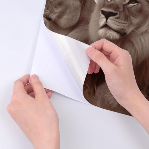 Stickers lion africain durables en vinyle haute résolution - 4