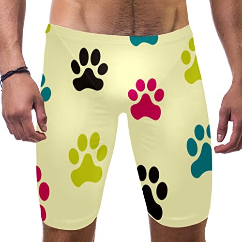Bañador Paw Dog de competición para entrenar en piscina con comodidad