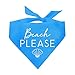Beach Please Dog Bandana (Turquoise, OS 776)