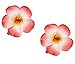 Love Sweety 2pc Hawaiian Plumeria Hair Clips Galsang Flower Barrettes for Beach Party(Red)
