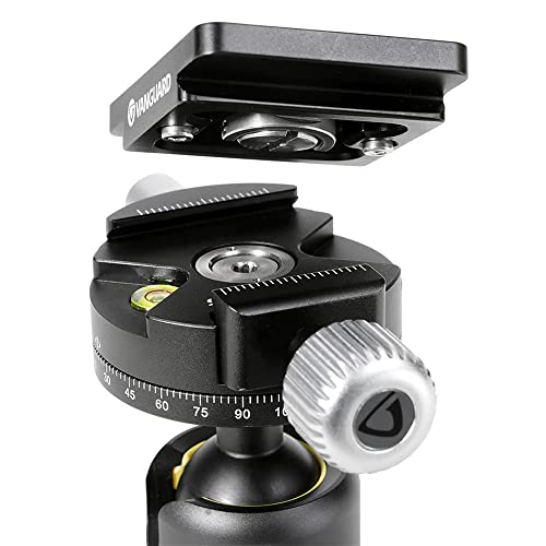 Image of Vanguard VEO BH-250S Dual Axis Ball Head