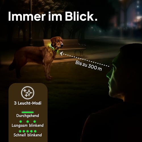 Tierhood Leuchthalsband Hund - Leuchthalsband für kleine und große Hunde - LED Hundehalsband Aufladbar - Langlebig, Wetterfest & Komfortabel - Ideal für Nachtspaziergänge - Grün, Größe S