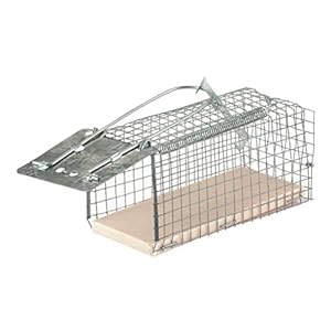 Kerbl 299618 Muizenval Draadkooi Muiscage, 1 ingang, 12×5,5×5,5 cm (1-pack)