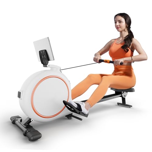 Rowing Machines for Home Exercise, 300 LBS Weight Capacity Row