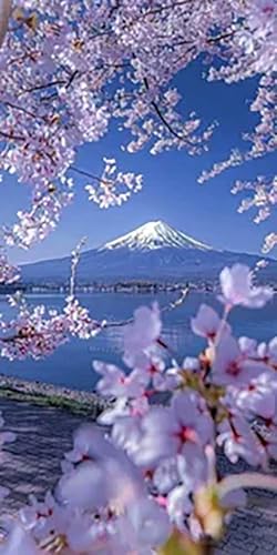 lpWO\[pY300s[XxmRtƑJ[߂ANeBreB