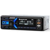 Wistrue Autoradio Bluetooth mit Freisprechen, Audio-Streaming, RDS Radiofunktion, Sodass Podcasts und Navigationsansagen