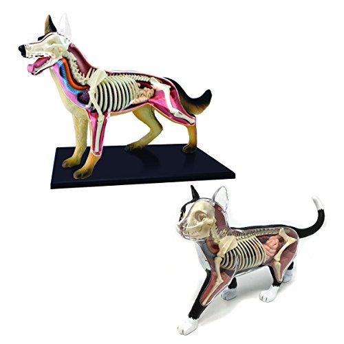 4D Vision Dog & 4D Vision Cat Toy Veterinarian Kit Bundle