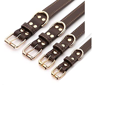 Express Pencils Personalized Dog Collar thumb #2