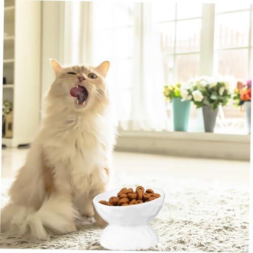 Gamelle surélevée en céramique blanche FRCOLOR pour chat et petit chien - 5