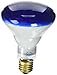 Westinghouse Lighting 0466800, 75 Watt, 130 Volt Blue Incandescent BR30 Light Bulb - 2000 Hours