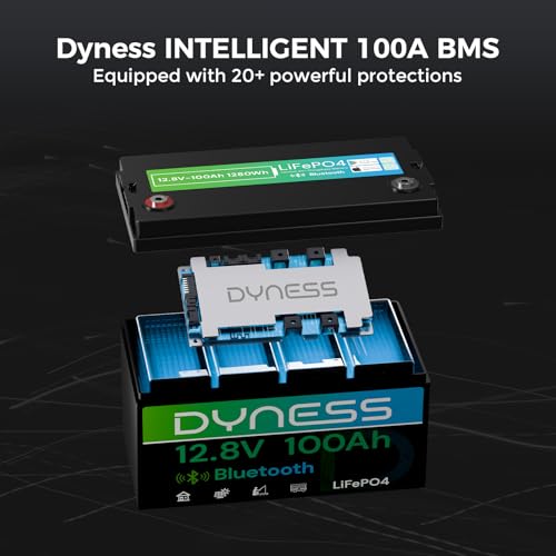 Image of Dyness 12V 100Ah Bluetooth LiFePO4 Battery, Deep Cycle Group 31 Lithium RV Batteries Built-in 100A BMS with Low-Temp Protection, 12.8 Volt Lithium Battery for Rv Camping, Home Solar System, Off-Grid