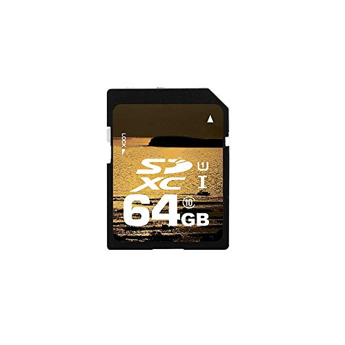 Carte mémoire 64 Go Classe 10 PNI-SDXC64 pour sauvegarder vos souvenirs de vacances