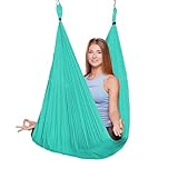 EUROSPORTS 2000 lbs Capacity High Elastic Large Size(L:197in W:110in) Silk Fabric Aerial Flying Yoga Swing/Hammock/Trapeze for Air Yoga Inversion Exercises(5m x 2.8m)