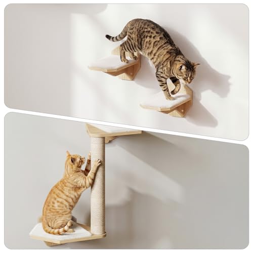 HOOBRO 11 Pzas Estantes de Pared para Gatos hasta 25 lb miniatura 6