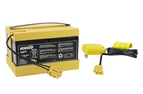 24V Battery + Charger for Peg Perego for Polaris Ranger RZR (Sliver) / for Polaris Sportsman 800 Twin Children Ride on Car (24V 12AH Battery + Charger)