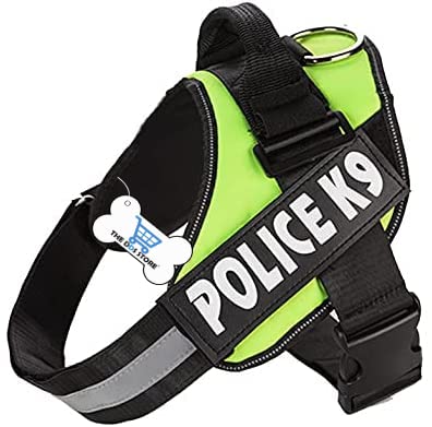 The DDS Store Dog Harness, No Pull Harness for Dogs, Adjustable, Breathable with Handle & Leash Attachment,Easy Walking Training for Dog (M(Chest:48-62cm /Neck :40-50cm) Wt: 9.5-18 kg, Green) (B09YDKWP55) Amazon Price History, Amazon Price Tracker