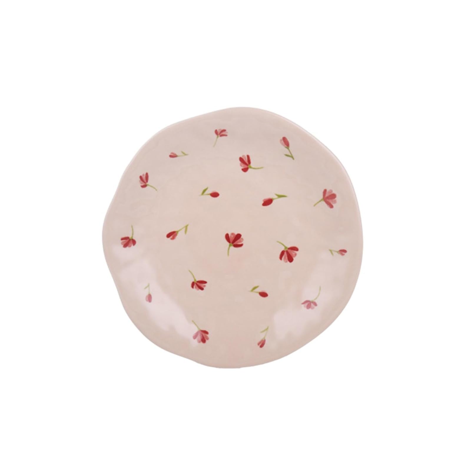 Piatti in ceramica giapponesi dipinti a mano e stoviglie per la casa set -10 pollici piatto (16)