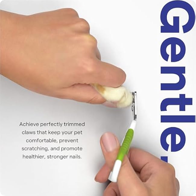 Pet Nail Clippers for Indoor Cats & Small Animals - Precision Angled Blades & Steady Grip - Ideal for Kittens Tiny Dogs Rabbits Birds - Nail Trimmer & Claw Scissors for Home Grooming - eBook Guide-CjR9S0eN