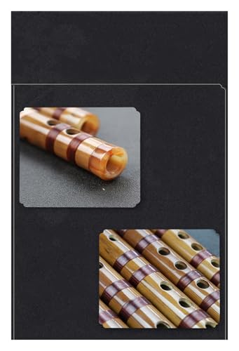 J ? t[g gXo[Xt[g S 2ZNV v Gg[x VOCT[guX(2-section F)