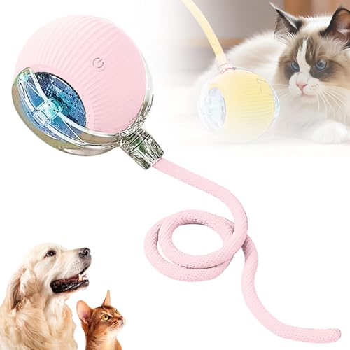 Yonynn Rolling Cat Toy