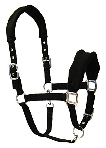JF de hípica de Nailon – Cabestro Cubierto COB, Black, Pura Sangre, aha de 05 – 04 – 03