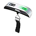 HotLife Scale for Luggage and Portable Scale for Travel, suitcase weight scale with Temperature Sensor, 110 Pounds Maximum, Battery Included