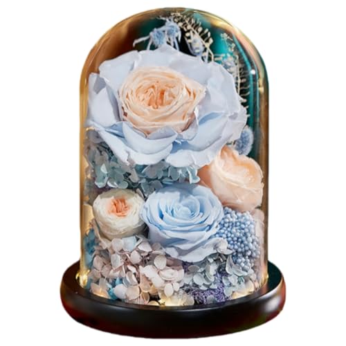 GEGEBOMTXO �v���U�[�u�h�t�����[ �o�� �͂�Ȃ��� �K�N �M�t�g�{�b�N�X���� �v���[���g ���킢�� ������ �i���̉� ����̂��� �a���� ��̓� �ސE�j�� ���Əj�� �����j�� �C���e���A �K���X�h�[�� LED���C�g�t�� ���� ���蕨 �V�N ����