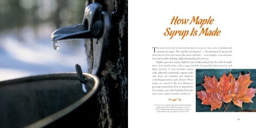The Maple Syrup Book #TOP1