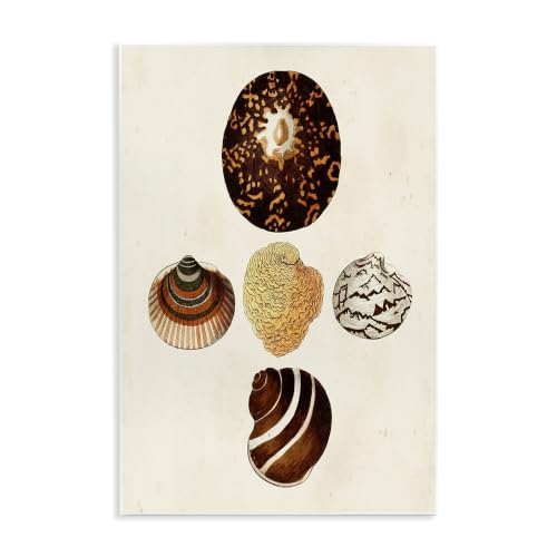 Stupell Industries 'Antique Round Patterned Sea Shells'| Wall Plaque Art