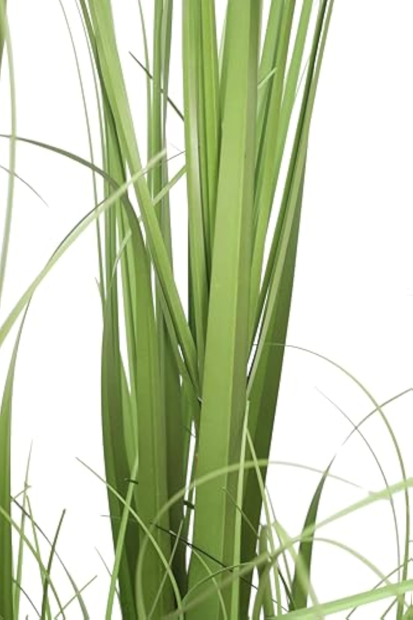 Artificial Sugarcane Plant with Pot for Home Decor