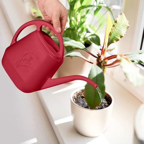 Image of Plastic Watering Can - for Indoor and Outdoor Plant - 1 /2 Gallon - Wine Red