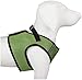 The Worthy Dog Sidekick Harness with Comfy Padded Mesh Velcro Adjustable, Outdoor, Easy Walk Vest for Dogs - XXS, Lime Green
