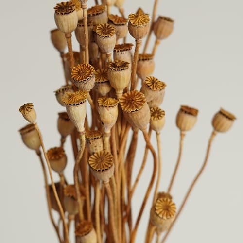 Ramo mini de flores secas Shirley para decoración miniatura 2