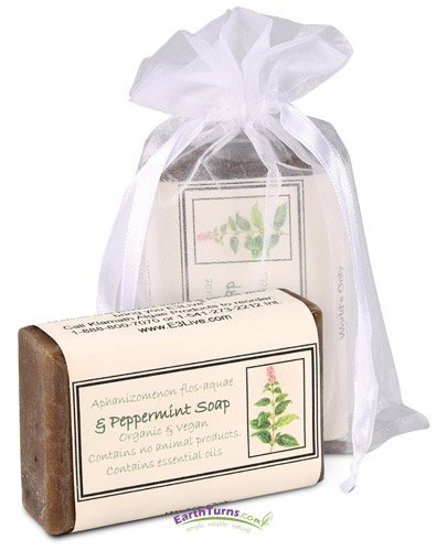E3Live - E3 Soap - Peppermint Soap - 1 oz