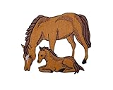 Felt Horse Mare and Colt Embroidered Iron on Patch
