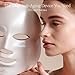Project E Beauty Skin Rejuvenation Photon Mask | LED Face Mask Light Therapy Red Blue Light Anti-Aging Wrinkle Spa Facial Treatment Home Skincare Mask
