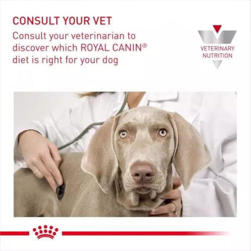Royal Canin Veterinary Gastrointestinal Mousse | 12 x 400 g | Diät-Alleinfuttermittel für ausgewachsene Hunde | Zur Unterstützung bei akuten Resorptionsstörungen des Darms