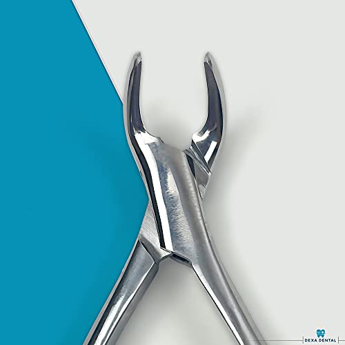 Dexa Dental Heavy Duty Dental Extracting Forceps # 151 Apical Forcep #TOP4
