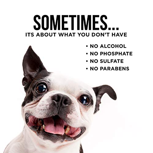 Natural Rapport Dog Eye Stain Wipes - The Only Eye Tear Stain Remover Dogs Need - Dog and Cat Tears Stain Removing Treatment (100 Wipes)