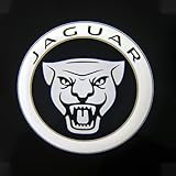 2PCS Car Door Welcome Lights for Jaguar XFL/F-PACE LED Lights Car Pedal Pathway Lights Car Door Step Courtesy Projector Lamp Accessories,D(Enlarged)-F-PACE