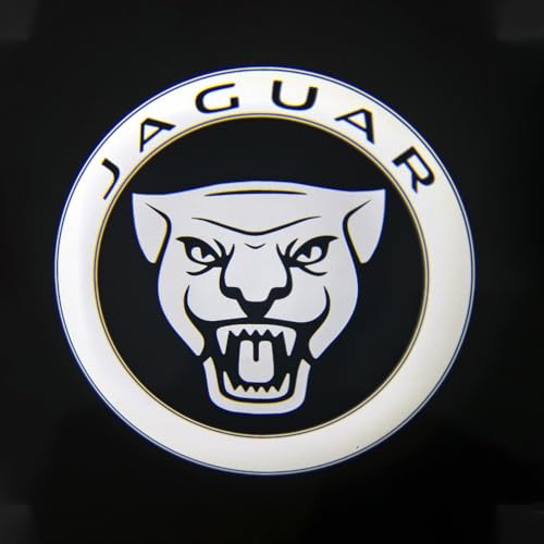 2PCS Car Door Welcome Lights for Jaguar XFL/F-PACE LED Lights Car Pedal Pathway Lights Car Door Step Courtesy Projector Lamp Accessories,D(Enlarged)-F-PACE