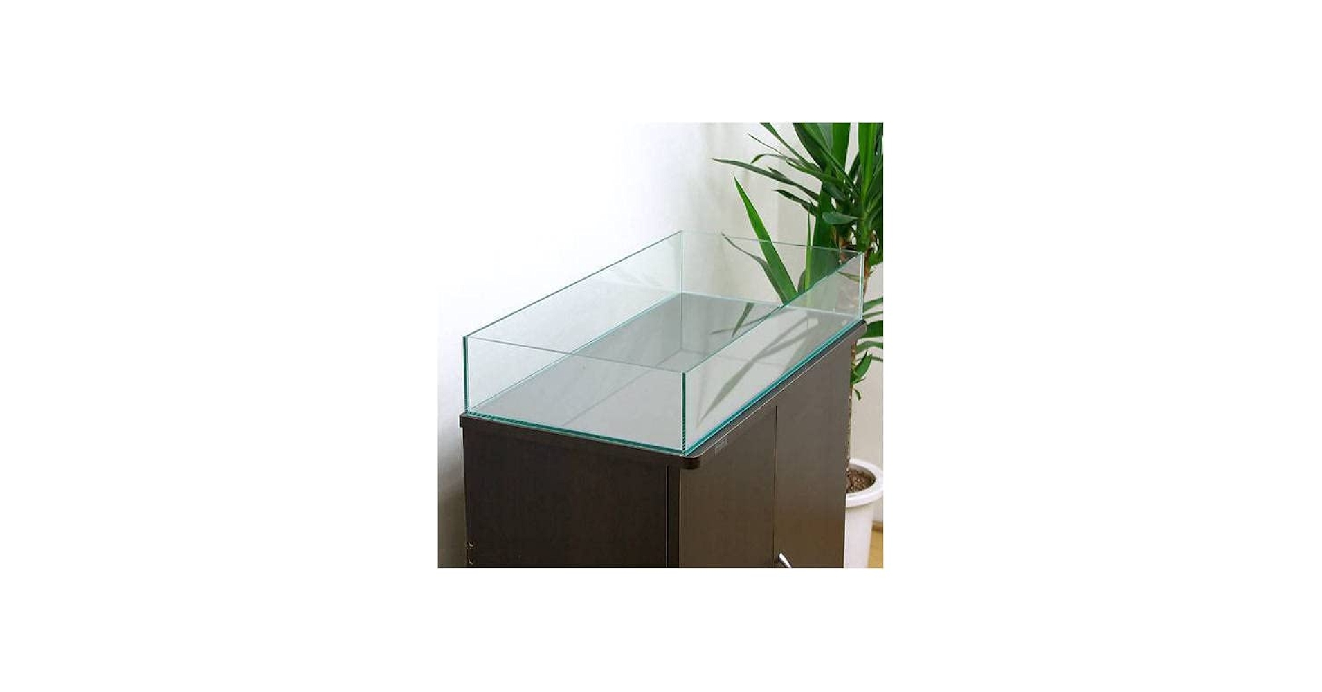 Glasia　水上育成用　６０×３０×１０ｃｍ　６０ｃｍ水槽　単体　沖縄別途送料 Amazon | GLASIA 水上育成用 600（60×30×10cm