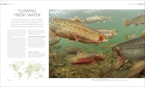 Habitats: Discover Earth's Precious Wild Places - Image 8