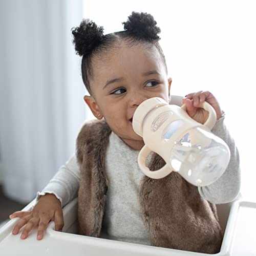 Dr. Brown'S WB92036-WEB Milestones Wide-Neck Sippy Spout Bottle thumb #6