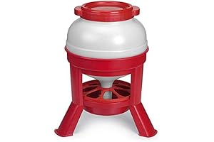20 Liter Chicken Hopper Feeder: The Efficient Solution for Poultry Nutrition