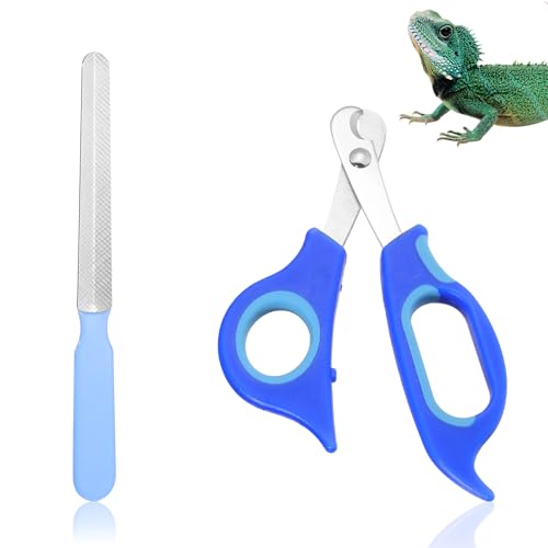 COMNICO Cortaúñas para gatos y lima de uñas de acero inoxidable con diseño de dragón barbudo, cortaúñas de lagarto, suministros de aseo profesional, herramienta para mascotas para reptiles, gatos y