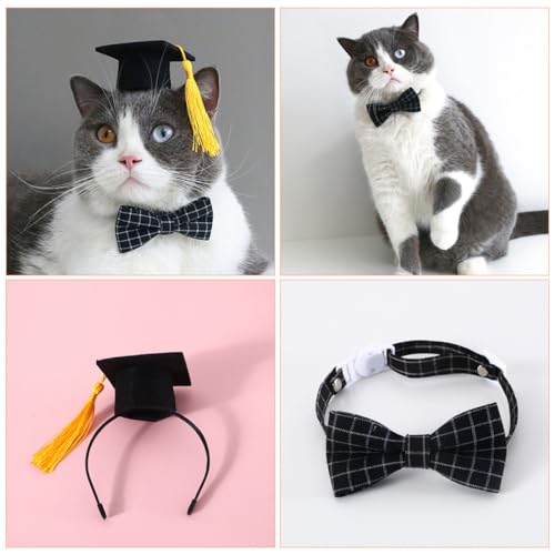 Disfraz de graduación para mascotas Luxshiny con gorro y corbata miniatura 7