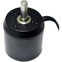 Brushless Motor 6374 170KV 2800W 24V 36V with Motor Hall Compatible with Four-Wheel SkateboardsNO Motor Holzer